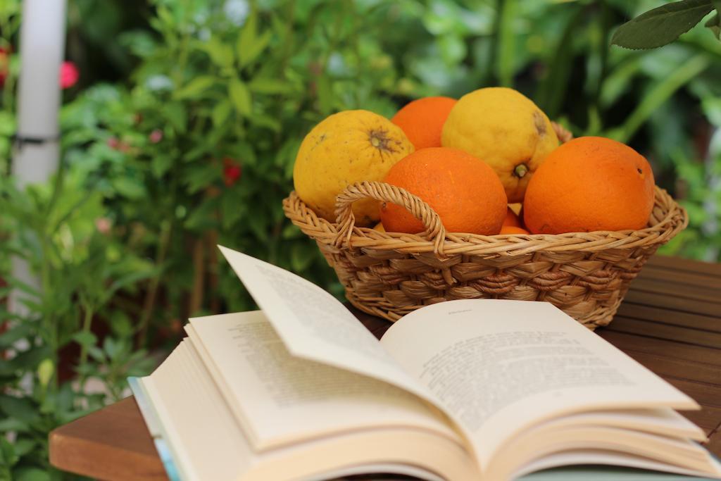Fiori E Limoni Bed & Breakfast Quartucciu Ngoại thất bức ảnh
